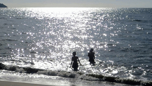 Cover photo