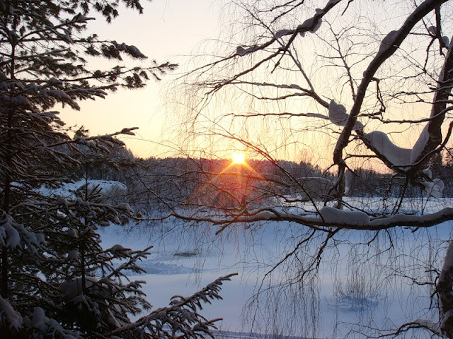 река Царева зимой