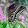Barbara Lambert Barbara Lambert's profile photo