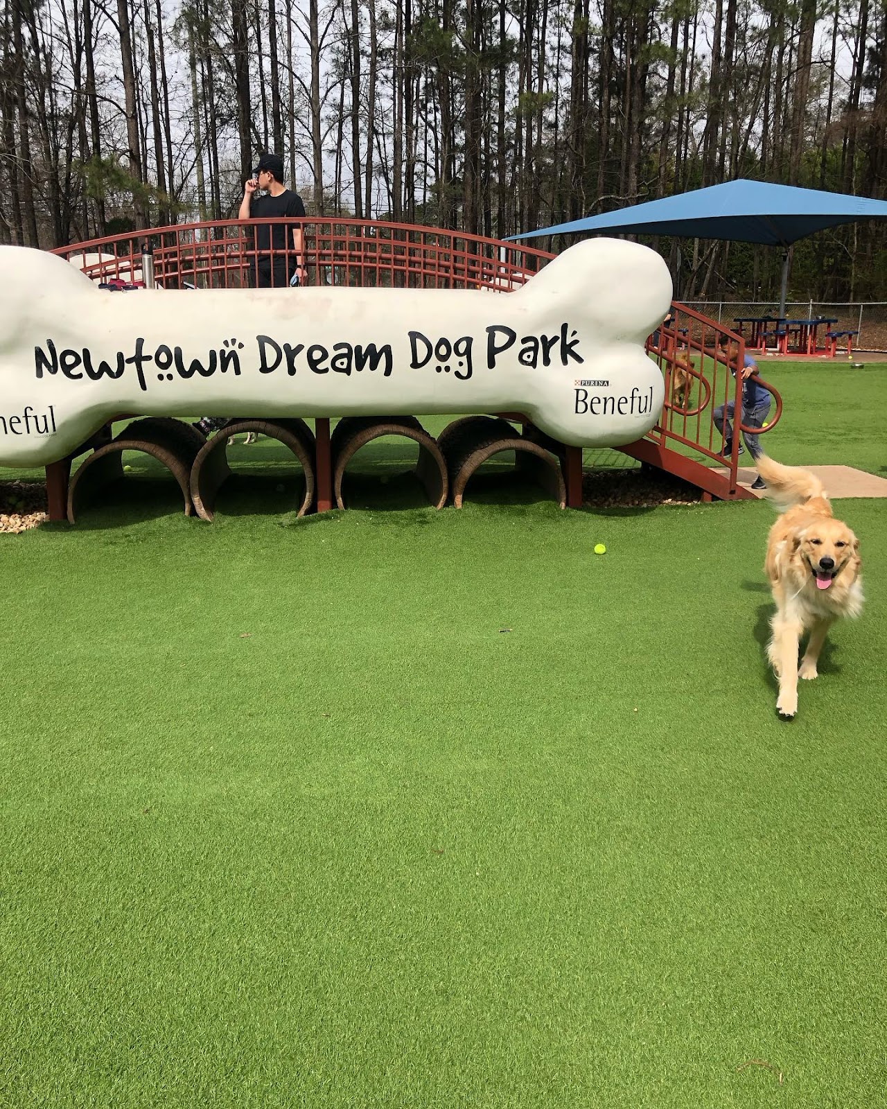 Best Off-Leash Dog Park