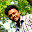 Bikash Dhal's user avatar