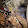 Tracey Allen Tracey Allen's profile photo