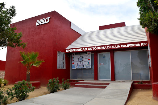 Departamento de Lenguas Extranjeras. DELE LOS CABOS, Avenida de la Juventud S/N, Juarez, 23469 Cabo San Lucas, B.C.S., México, Centro de formación | BCS