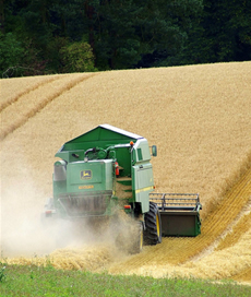 Harvest