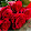Fmg Ganbasha Fmg Ganbasha's profile photo