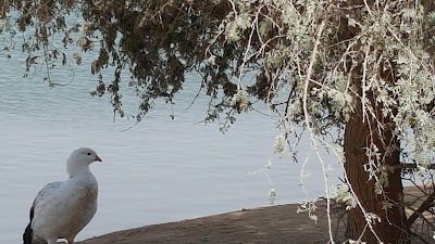Photos of بحيرات المرموم