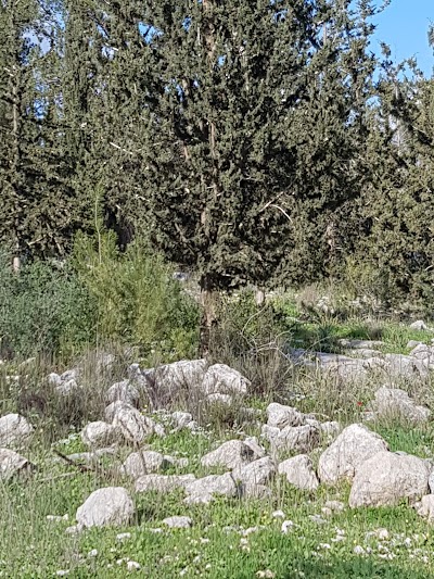 Photos of חניה חוף ט״ו