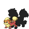 Growlithe%252520Shadowed%252520by%252520Evolution.png