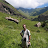 Matt Harrison avatar image