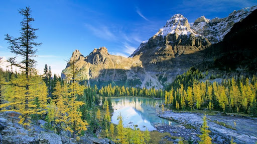 Yoho National Park and the Larch Valley, British Columbia.jpg