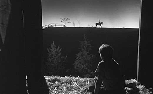 The Night of the Hunter hosted by Picasa