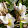 Tom Mathai Tom Mathai's profile photo