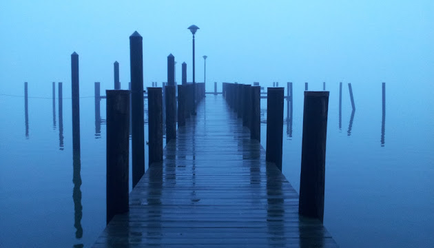 Cover photo