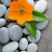 Priya Batish avatar image