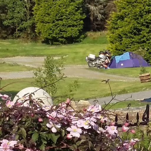 Clifden Camping and Caravan Park logo
