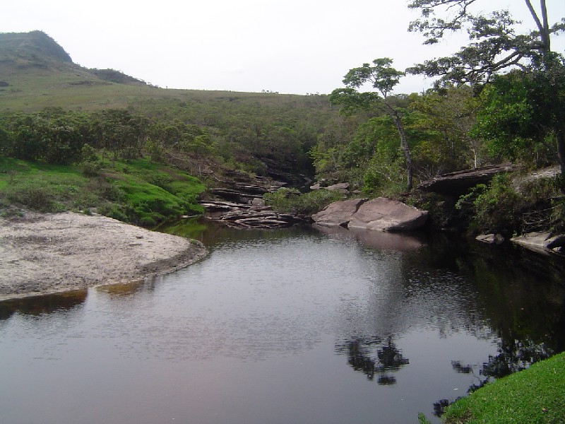 DSC01491.JPG