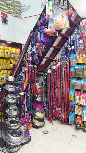 Classic Pet Products, Old 104, G N Arihan Vtn Square T, Gopathi Narayanaswami Chetty Rd, T Nagar, Chennai, Tamil Nadu 600017, India, Pet_Shop, state TN