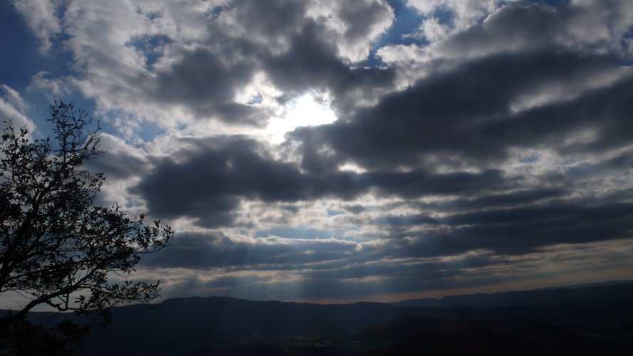 RAYS