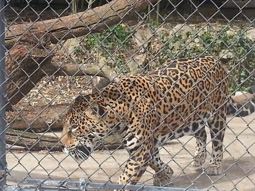 Louisville Zoo
