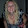 Robyn Wesley Robyn Wesley's profile photo