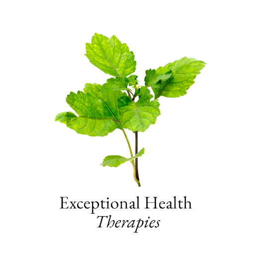 Exceptional Health Therapies logo