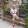 Rodrigo Blanco Escobar Rodrigo Blanco Escobar's profile photo