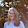 Michele Greene Michele Greene's profile photo