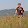 Giannis Gogos Giannis Gogos's profile photo