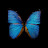 ina bergmann avatar image