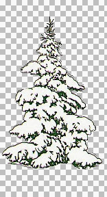 PB~XmasTree'sShea6.jpg