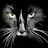 Sharon Ficklin-Ripa avatar image