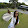 Gabriela Beglio Gabriela Beglio's profile photo