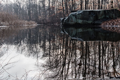 Nature Preserve «Flat Rock Brook Nature Center», reviews and photos, 443 Van Nostrand Ave, Englewood, NJ 07631, USA