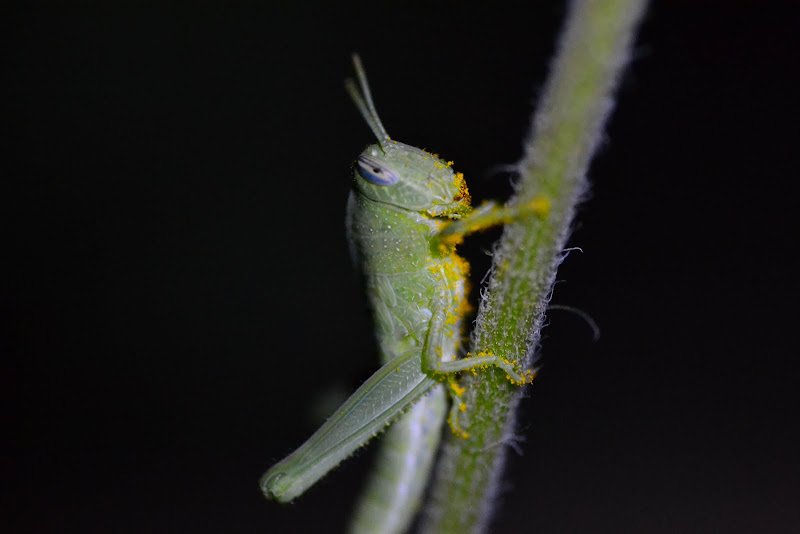 DSC_5997.JPG