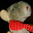 samnorthernlights avatar image