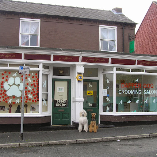 Dapper Dog Grooming Salon in Cannock logo