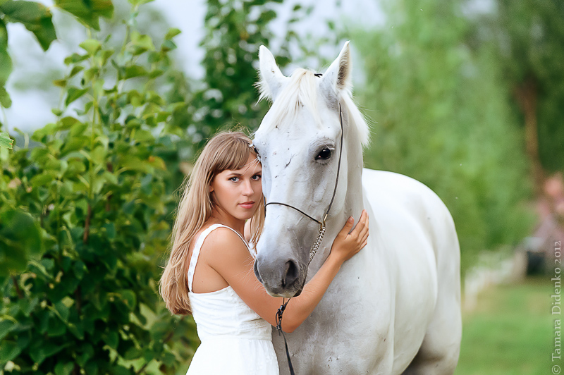Лошадка москва. Фотосессия с лошадьми. Б белая красавица.