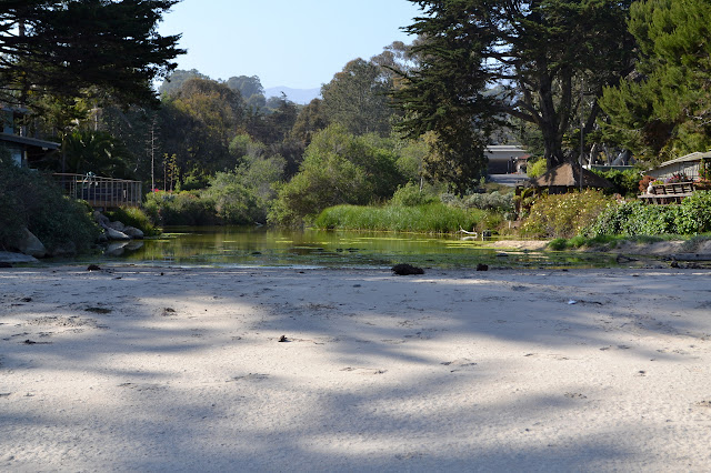 Rincon Creek, or lagoon