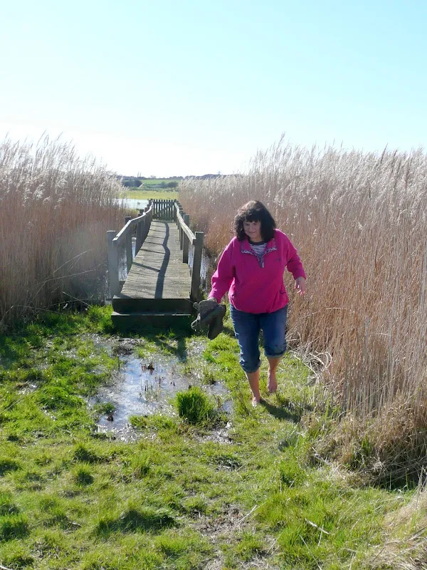 Flooded marshes at Iken