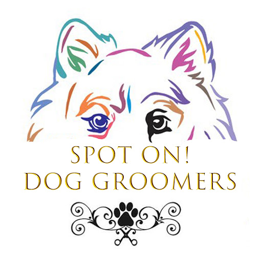 Spot On Dog Grooming