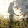 Ascen Garci Ascen Garci's profile photo
