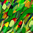 H Jeff avatar image