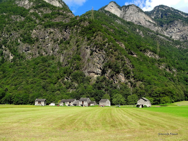 Passeando pela Suíça - 2012 - Página 10 DSC02944