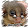 Dan Mike Dan Mike's profile photo