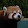 Simon L. B. Nielsen Simon L. B. Nielsen's profile photo