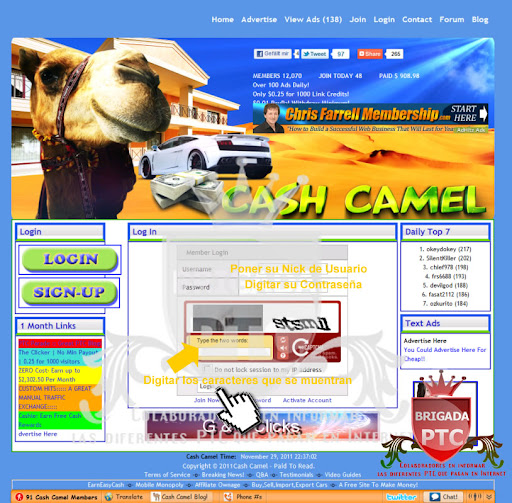 Guia de usuario de CashCamel Tutorial con Imagenes Tutoriales-CashCamel03