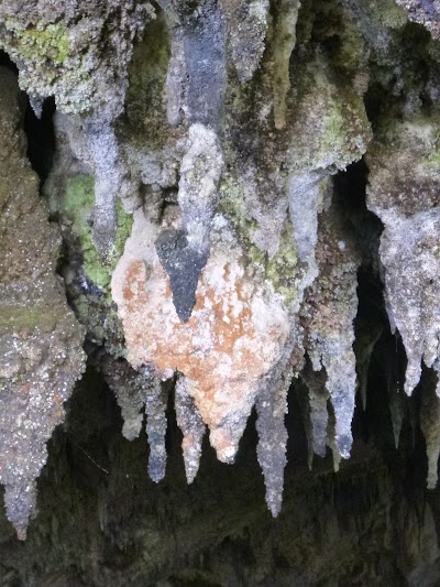 Photos of Rawhiti Cave