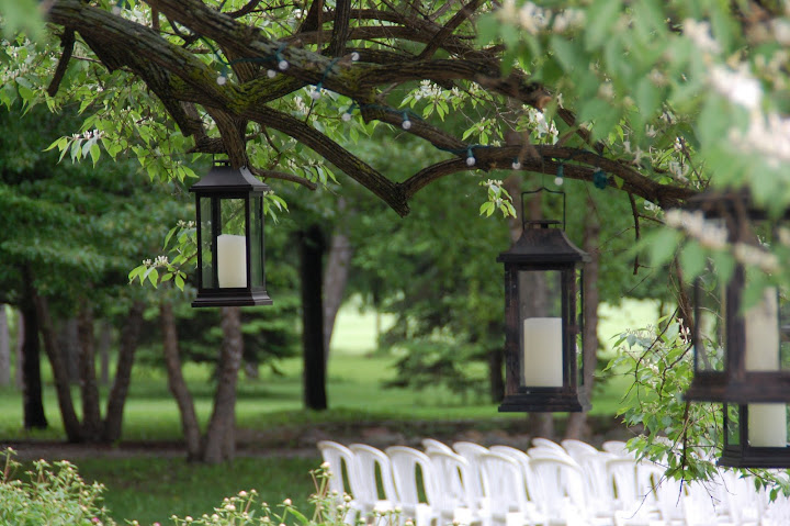 Lanterns hung in trees at Concordia in Ann Arbor