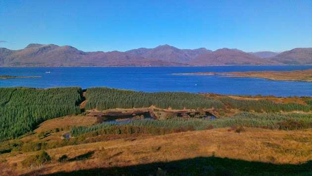 Cover photo