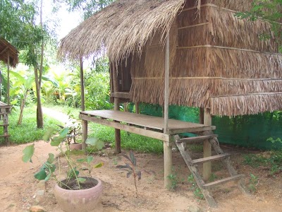 Photos of Olly's place